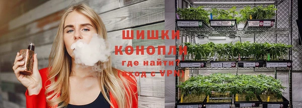 ECSTASY Краснослободск