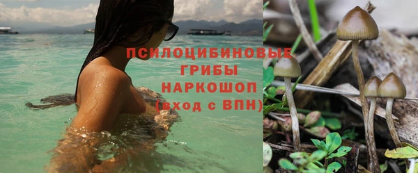 ECSTASY Краснослободск