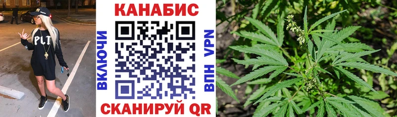 Канабис ГИДРОПОН Купить где Сосновка